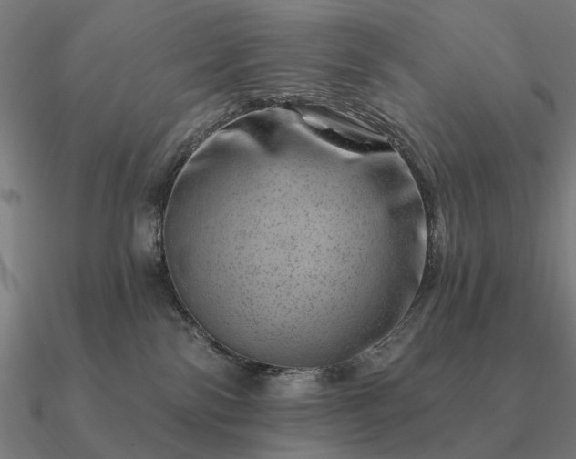 X0000090930138200708061610