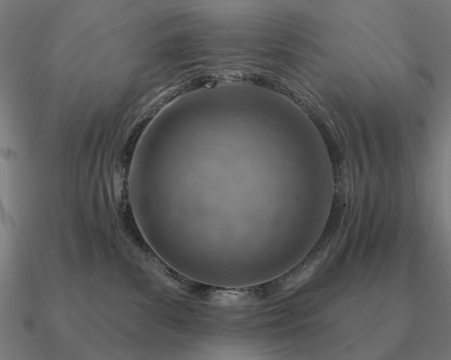 X0000090930139200708061610