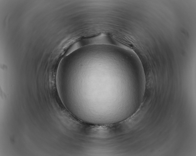 X0000090930140200708061610