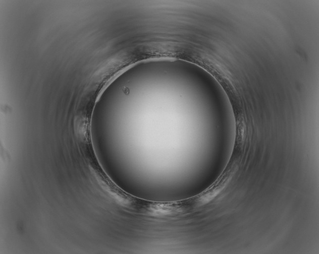 X0000090930141200708061610