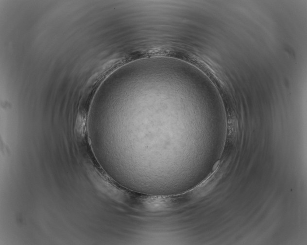 X0000090930142200708061610