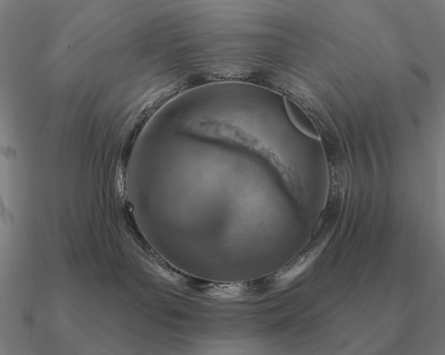 X0000090930143200708061610