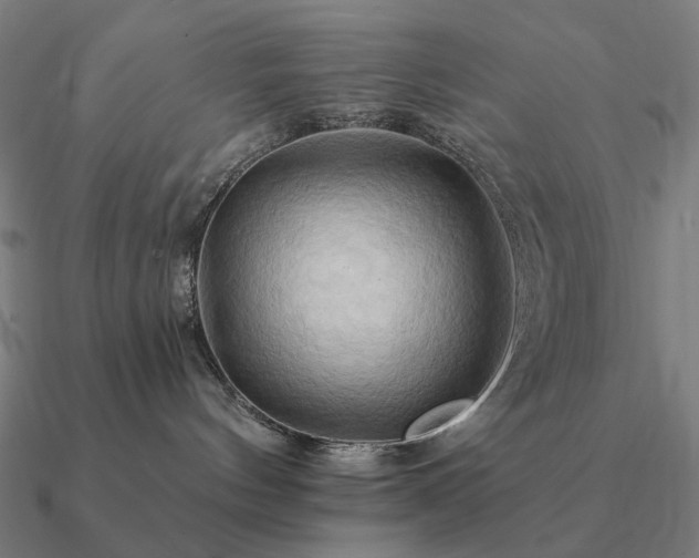 X0000090930144200708061610