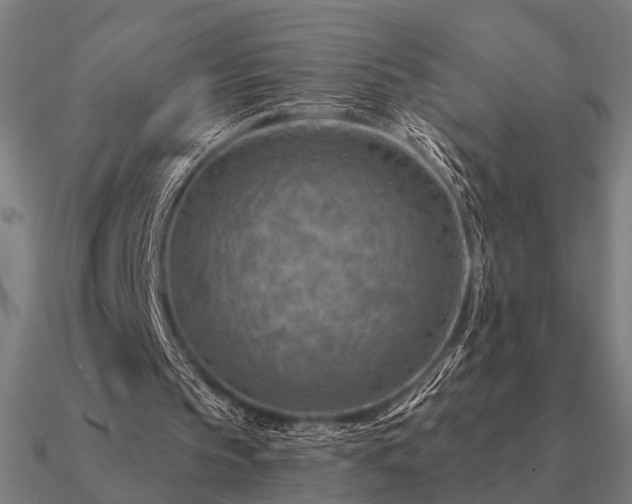 X0000090930145200708061610