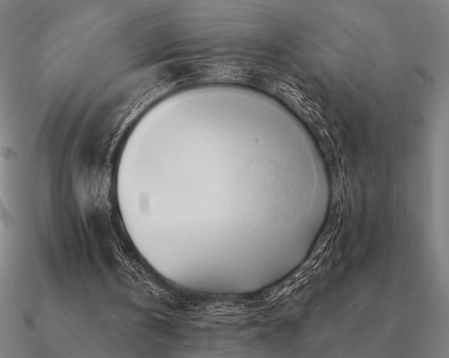 X0000090930146200708061610