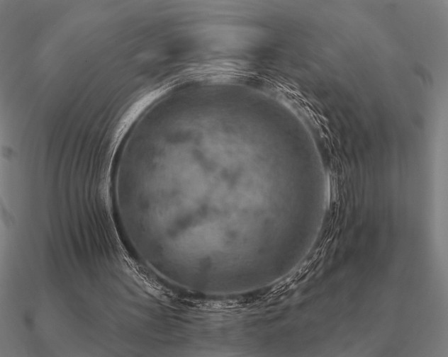 X0000090930147200708061610