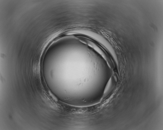 X0000090930148200708061610