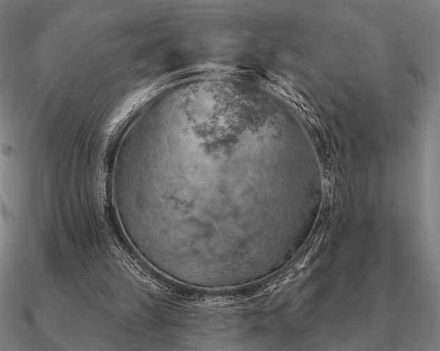 X0000090930149200708061610