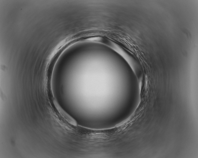 X0000090930150200708061610