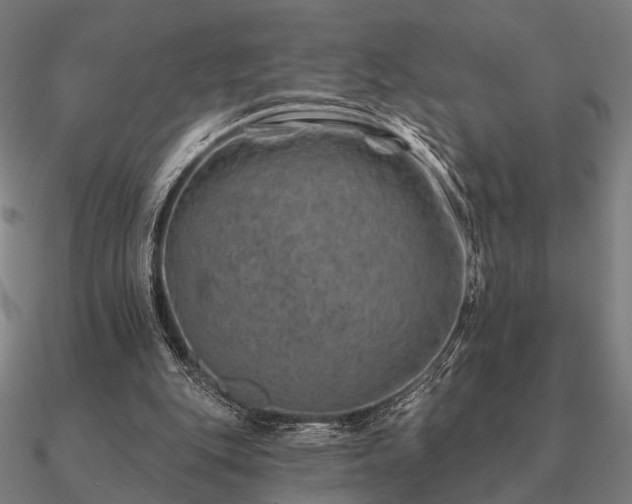 X0000090930151200708061610