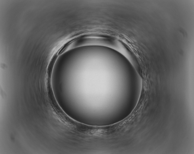 X0000090930152200708061610