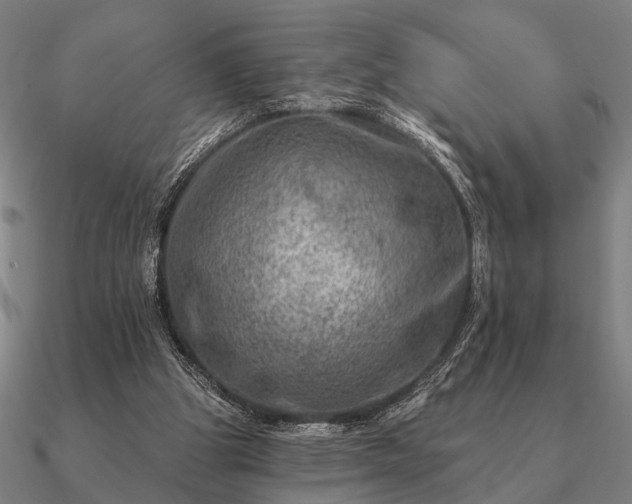 X0000090930153200708061610