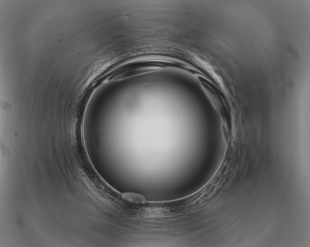 X0000090930154200708061610