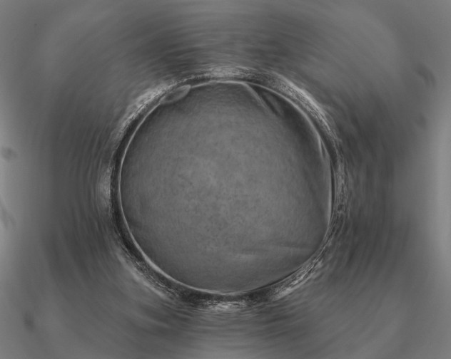 X0000090930155200708061610