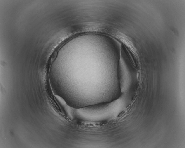 X0000090930156200708061610