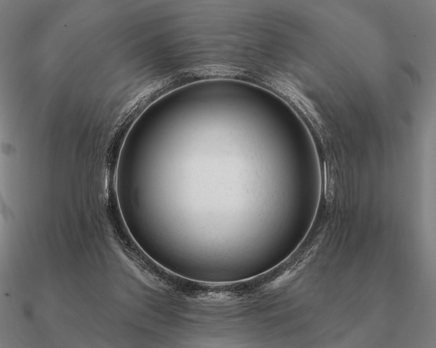 X0000090930157200708061610