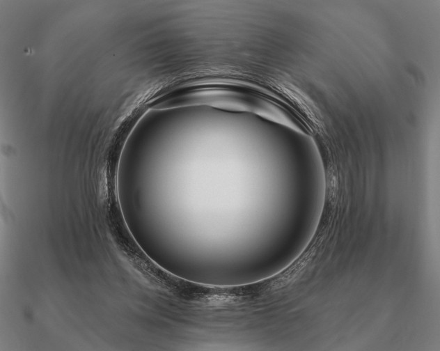 X0000090930158200708061610