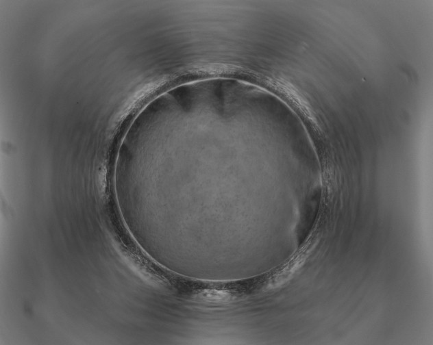 X0000090930159200708061610