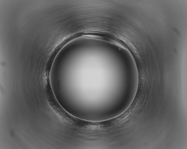 X0000090930160200708061610