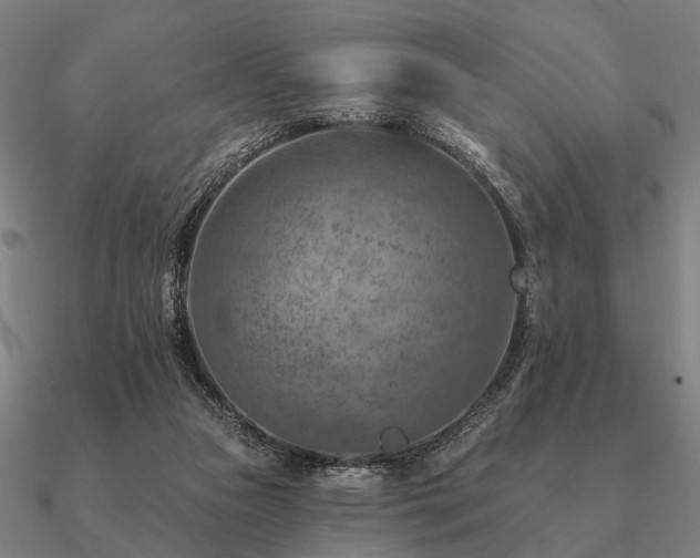 X0000090930161200708061610