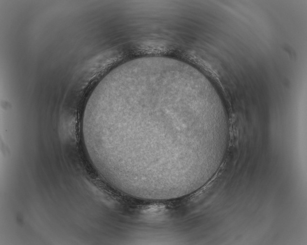 X0000090930162200708061610