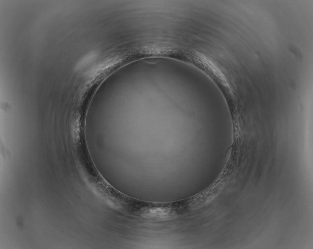 X0000090930163200708061610