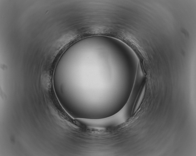 X0000090930164200708061610