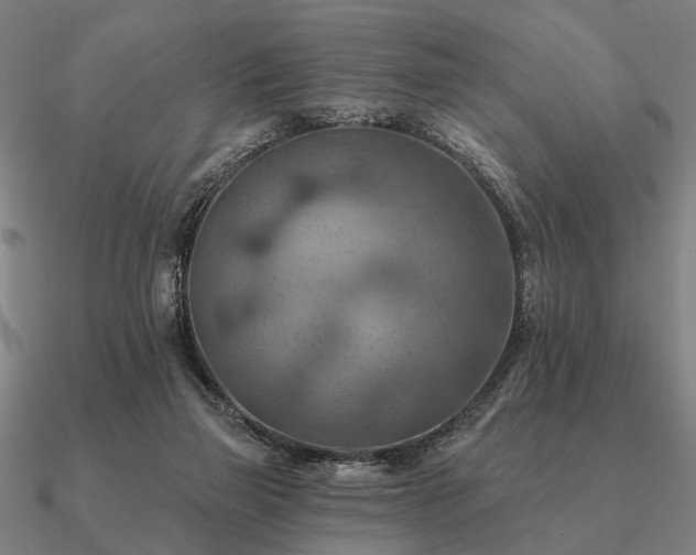 X0000090930165200708061610