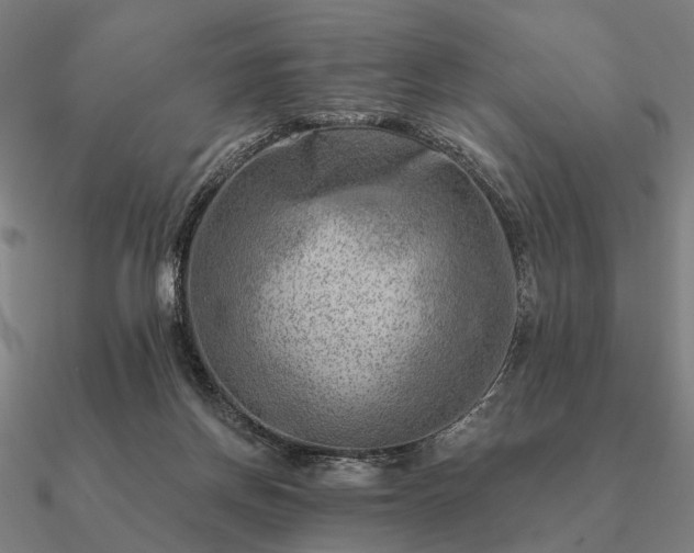 X0000090930166200708061610