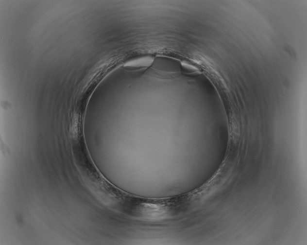 X0000090930167200708061610