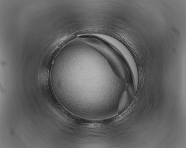 X0000090930168200708061610