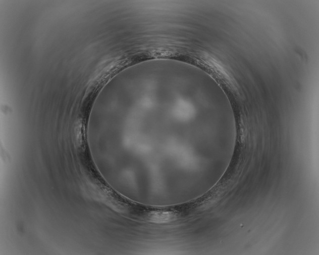 X0000090930169200708061610