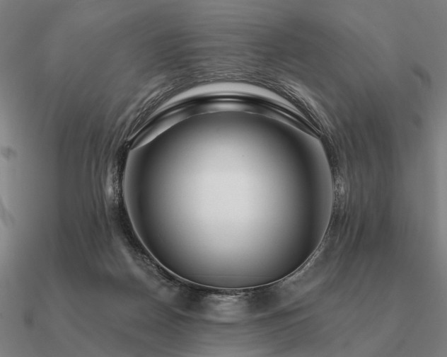 X0000090930170200708061610