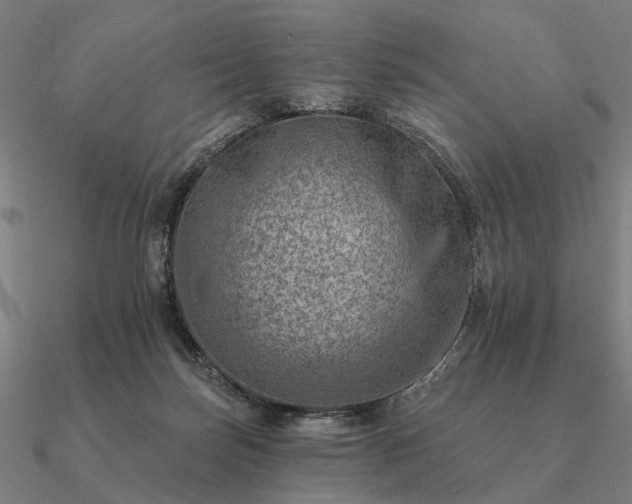 X0000090930171200708061610