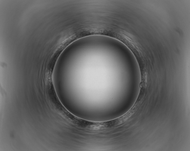 X0000090930172200708061610