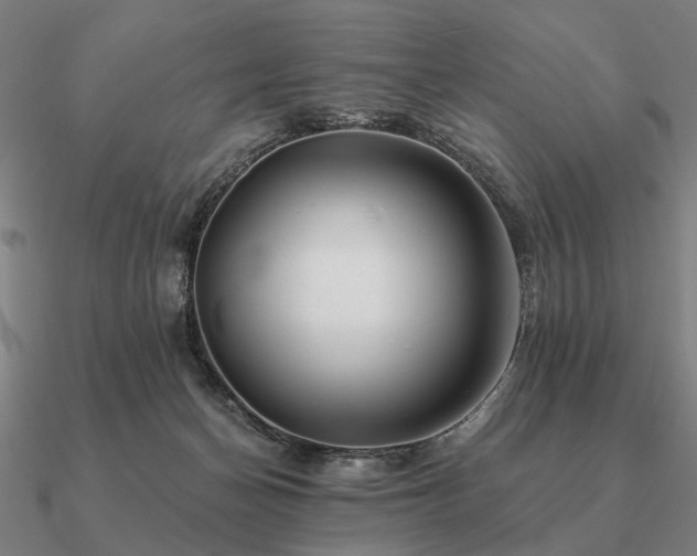 X0000090930174200708061610