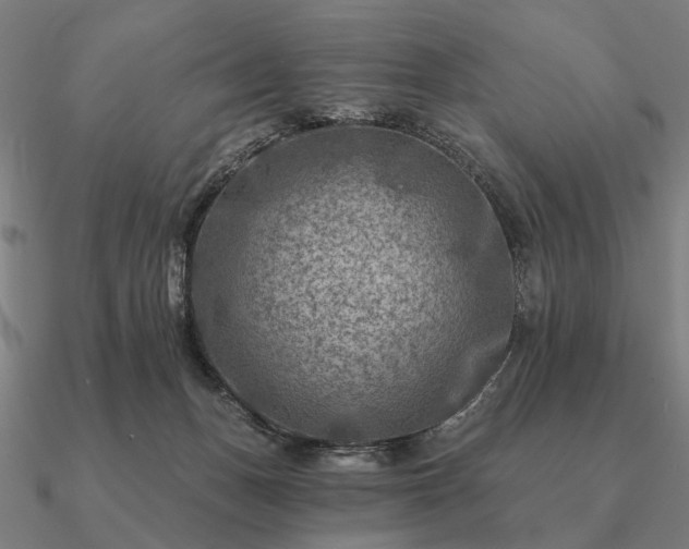 X0000090930175200708061610