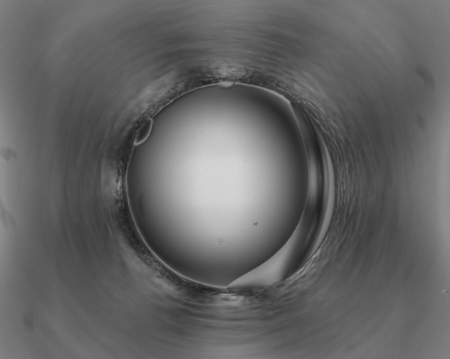 X0000090930176200708061610