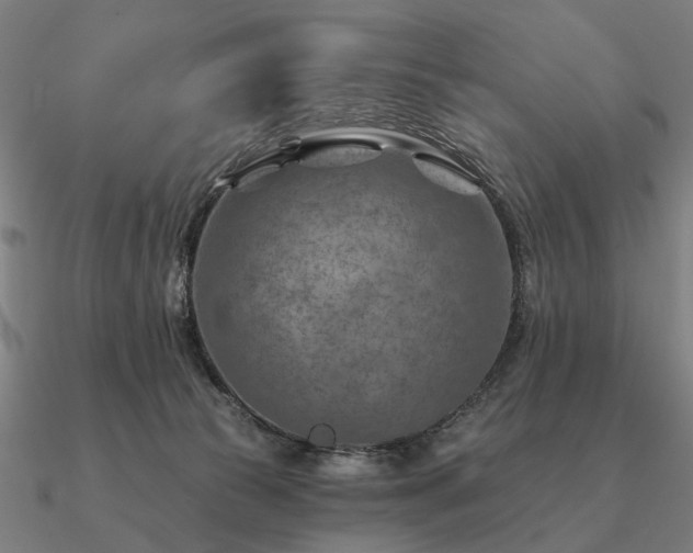 X0000090930177200708061610