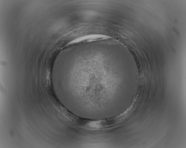 X0000090930178200708061610