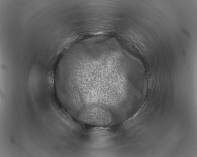 X0000090930179200708061610