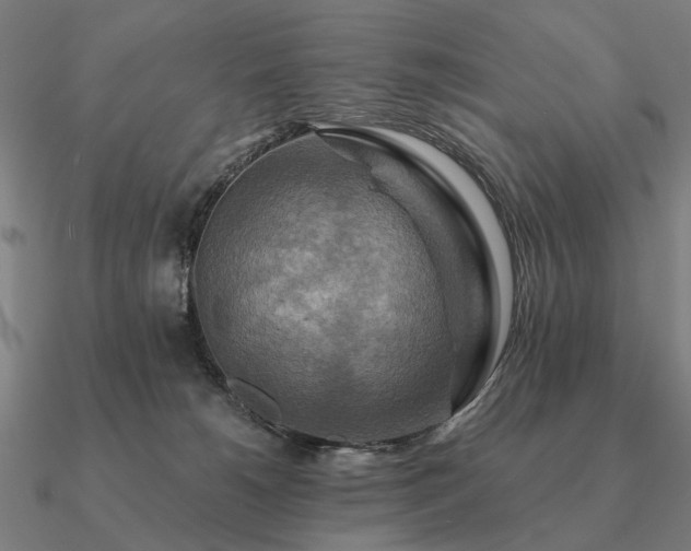 X0000090930180200708061610