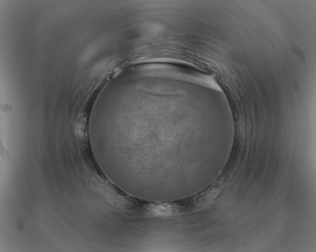 X0000090930181200708061610