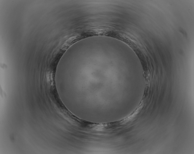 X0000090930182200708061610