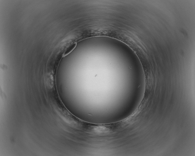 X0000090930183200708061610