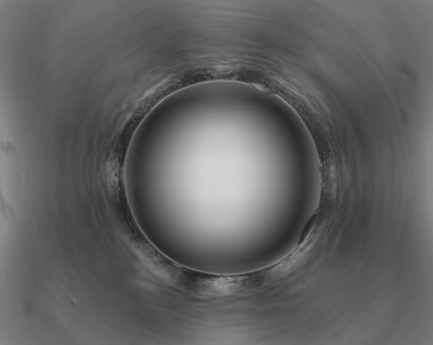 X0000090930184200708061610