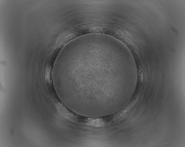 X0000090930185200708061610