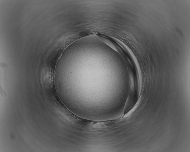 X0000090930186200708061610