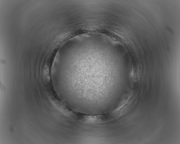 X0000090930187200708061610