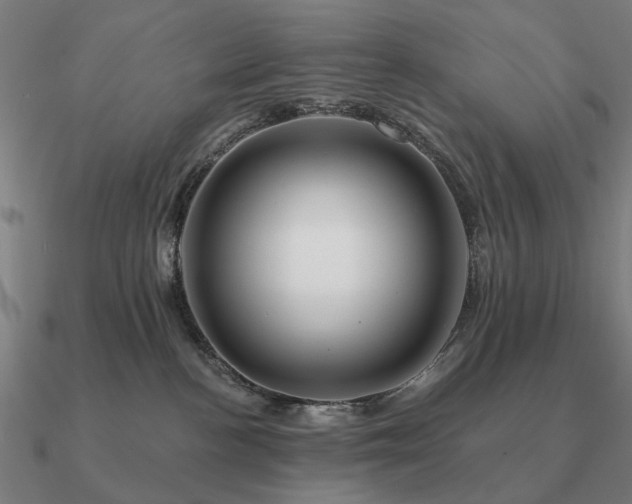 X0000090930188200708061610